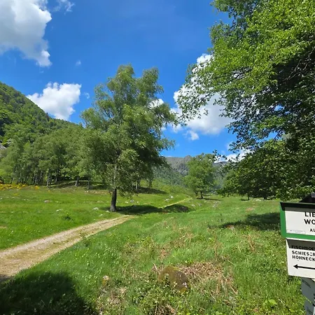 Alpehytte De La Wormsa Metzeral